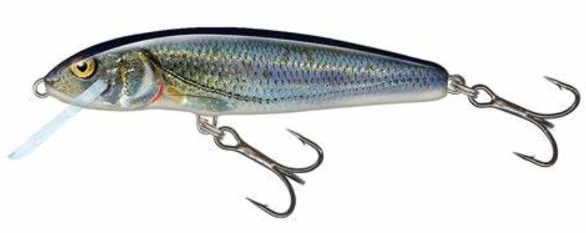 Salmo Minnow Floating 5cm